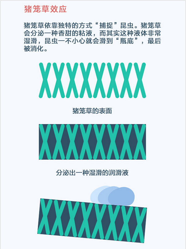 表面超疏水疏油現象 表面超疏水疏油現象